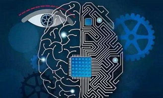 機(jī)器視覺 制造業(yè)智能化轉(zhuǎn)型的得力助手